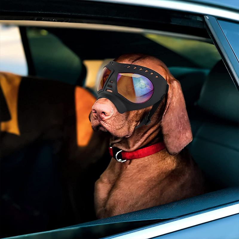Stehaufe™ Schutzbrille für mittelgroße und große Hunde