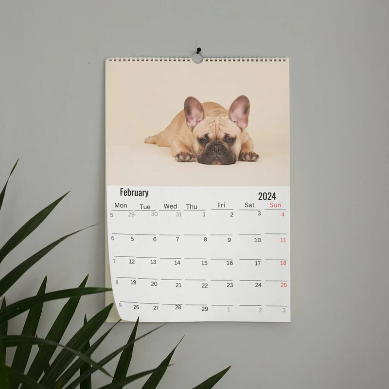 Wandkalender 2024 über faule Hunde